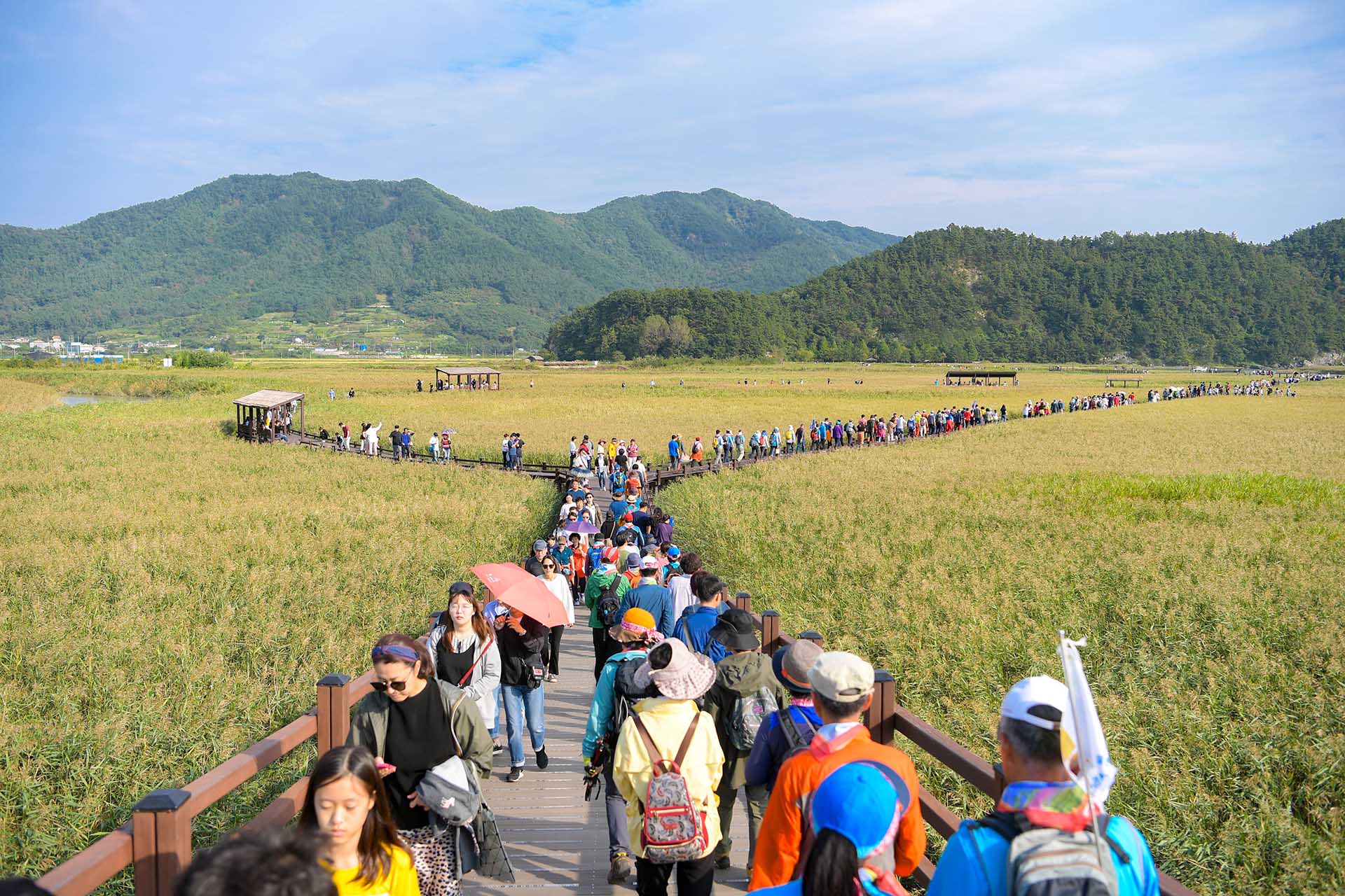 순천만